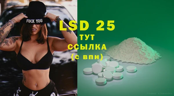 PSILOCYBIN Алзамай