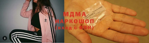PSILOCYBIN Алзамай