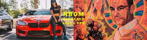 прущие грибы Алексин
