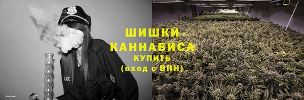 PSILOCYBIN Алзамай