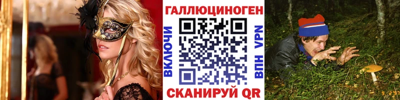 цены наркотик  Жуковский  blacksprut зеркало  Галлюциногенные грибы GOLDEN TEACHER 